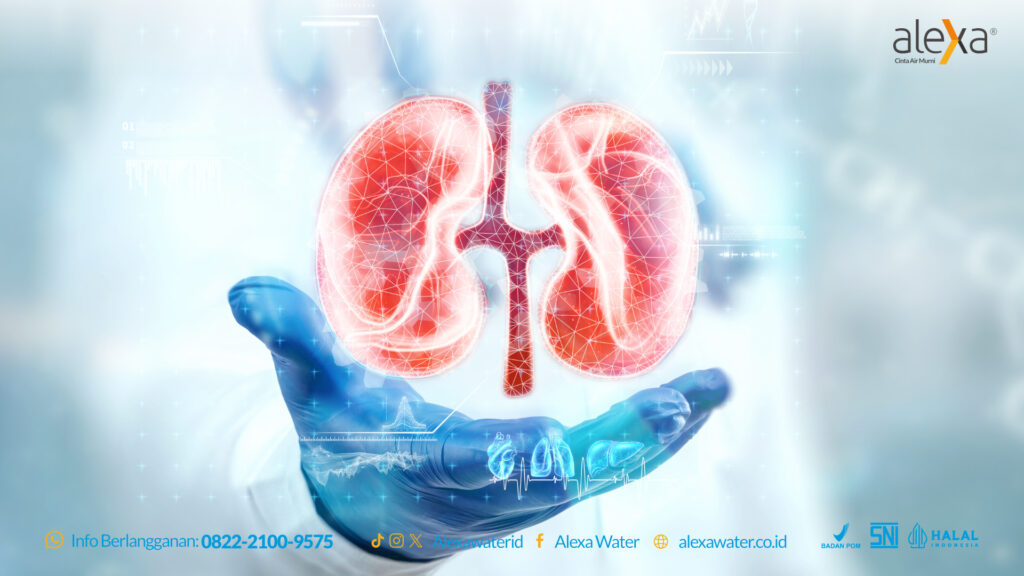 air terbaik untuk ginjal