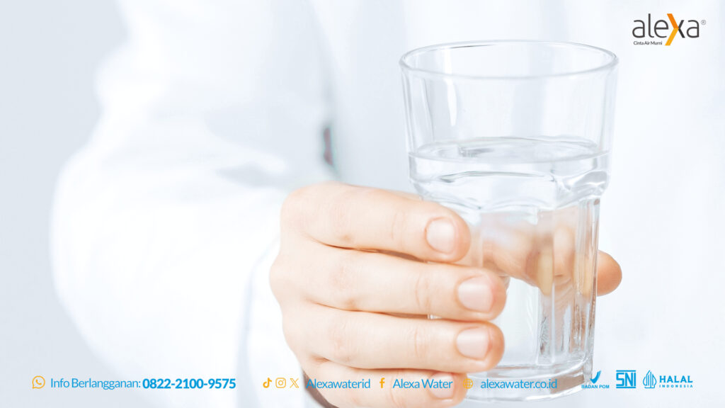 air murni terbaik